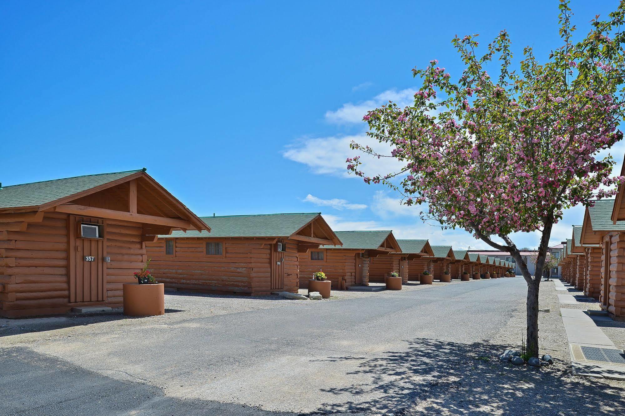 Buffalo Bill Cabin Village Cody Exterior photo